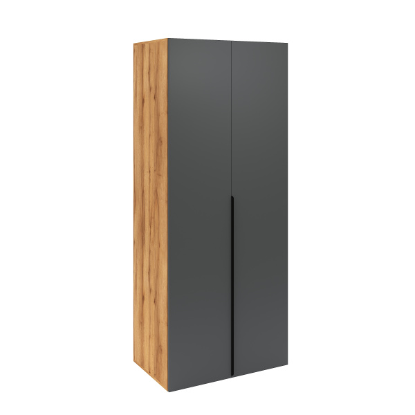 Шкаф 2-х дверный Брайт Графит (внутри штанга + ящик) от Династия Kids